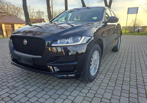 Jaguar F-Pace cena 84900 przebieg: 198600, rok produkcji 2016 z Jarosław małe 92